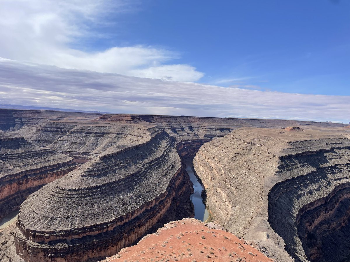 Landon K tweet media