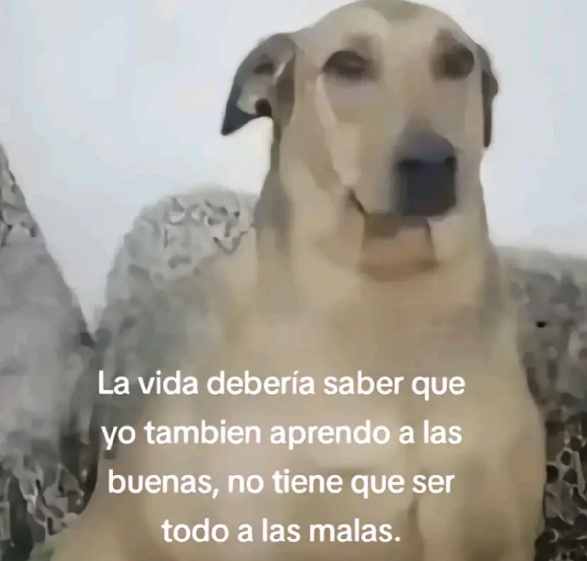 emociones amarillas (@conoloracigarro) on Twitter photo 