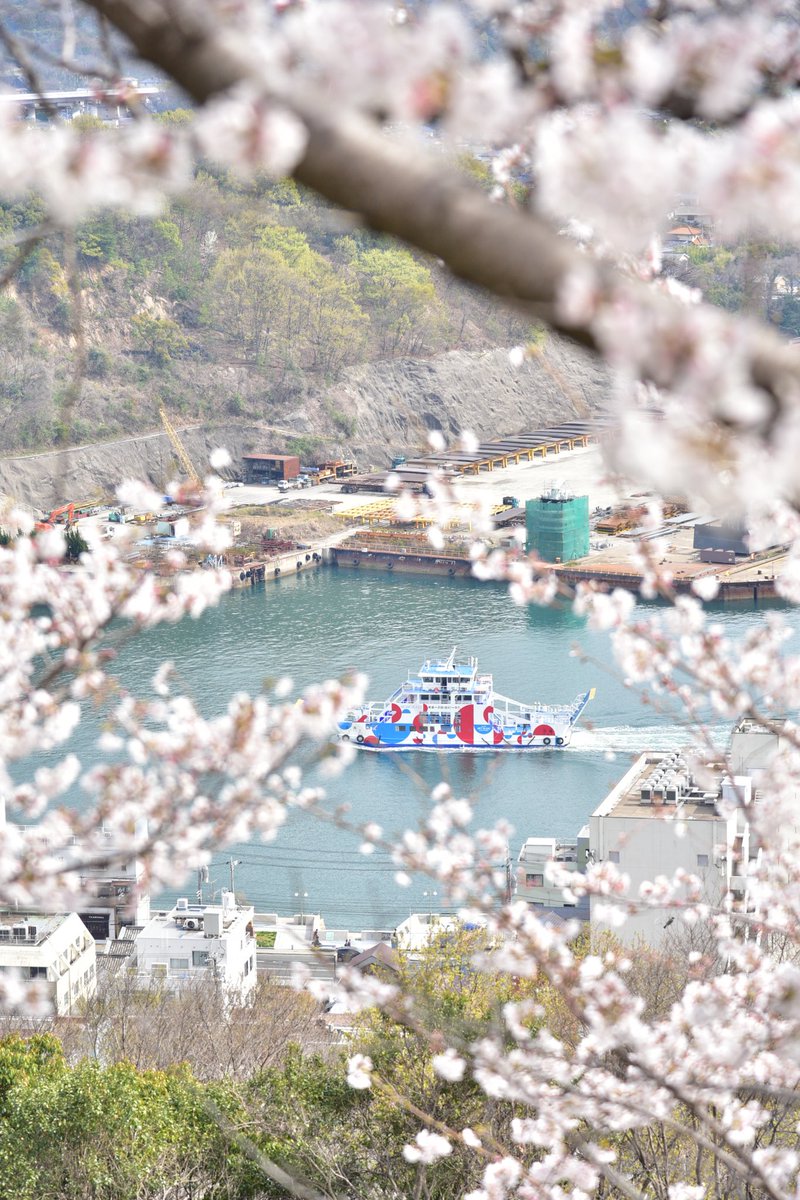 animalonomichi's tweet photo. おはようございます☀

11:00〜17:30 #ボ・レモネード で1日店長☕️

まだちょっと肌寒いですかね

千光寺の桜を見たあとは

瀬戸田レモンを使った濃厚ホットレモネードを飲んで温まってください🍋😌

#尾道 #桜 #ソメイヨシノ #カフェ #cafe #喫茶店 https://t.co/rIoNqIqwle