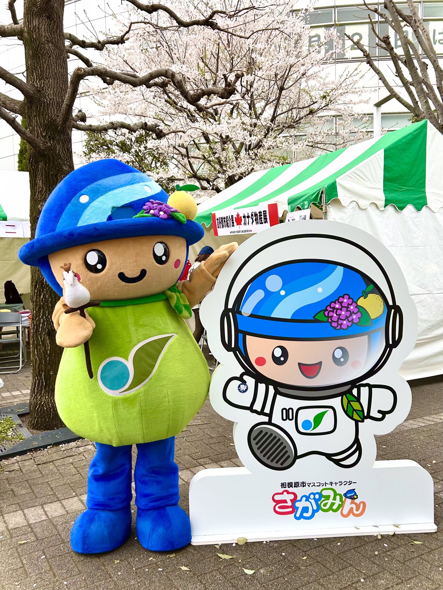 人気ブランドからコーディネートを探す さがみん X / (@sagamin_love) その他
