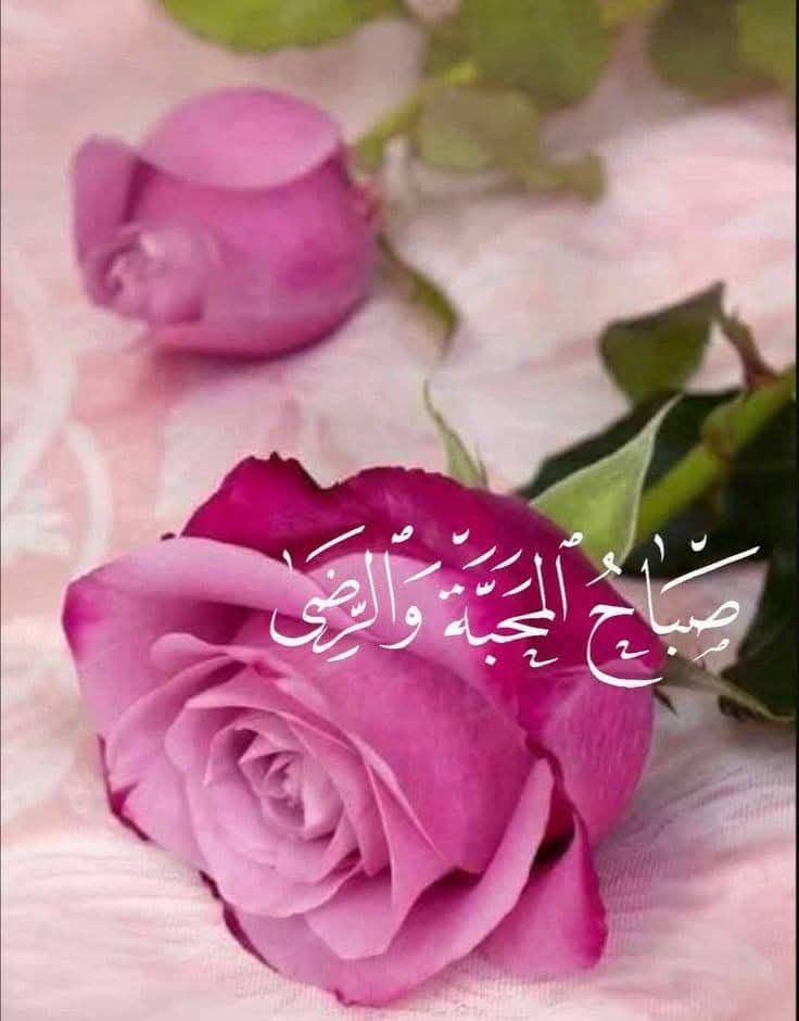 صباح المحبة والرضى