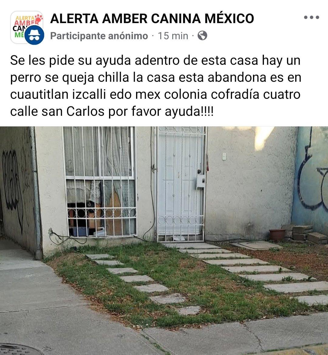 LicAnimalista's tweet photo. Atención @FiscaliaEdomex #NoticiaCriminal perro abandonado en inmueble en Cuautitlan Izcalli.  CCP. @delfinagomeza https://t.co/UmJ5RO3pMU