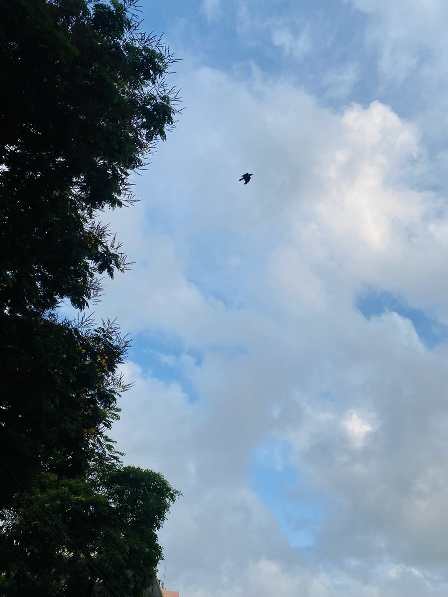 imthi0987's tweet image. GM Have A Great Day Guys!