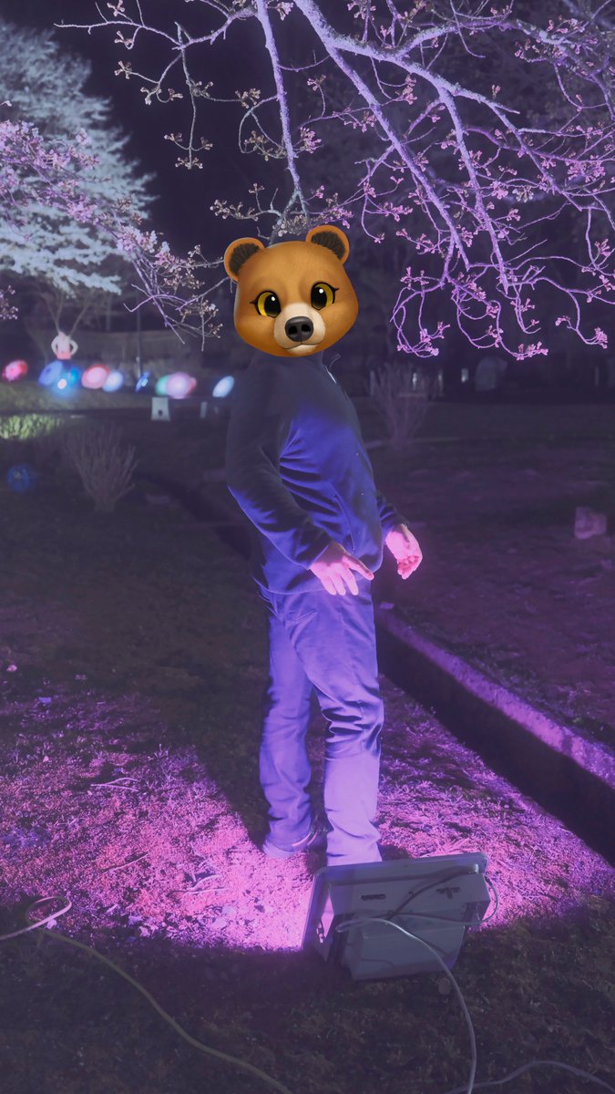 カメラのむー tweet media