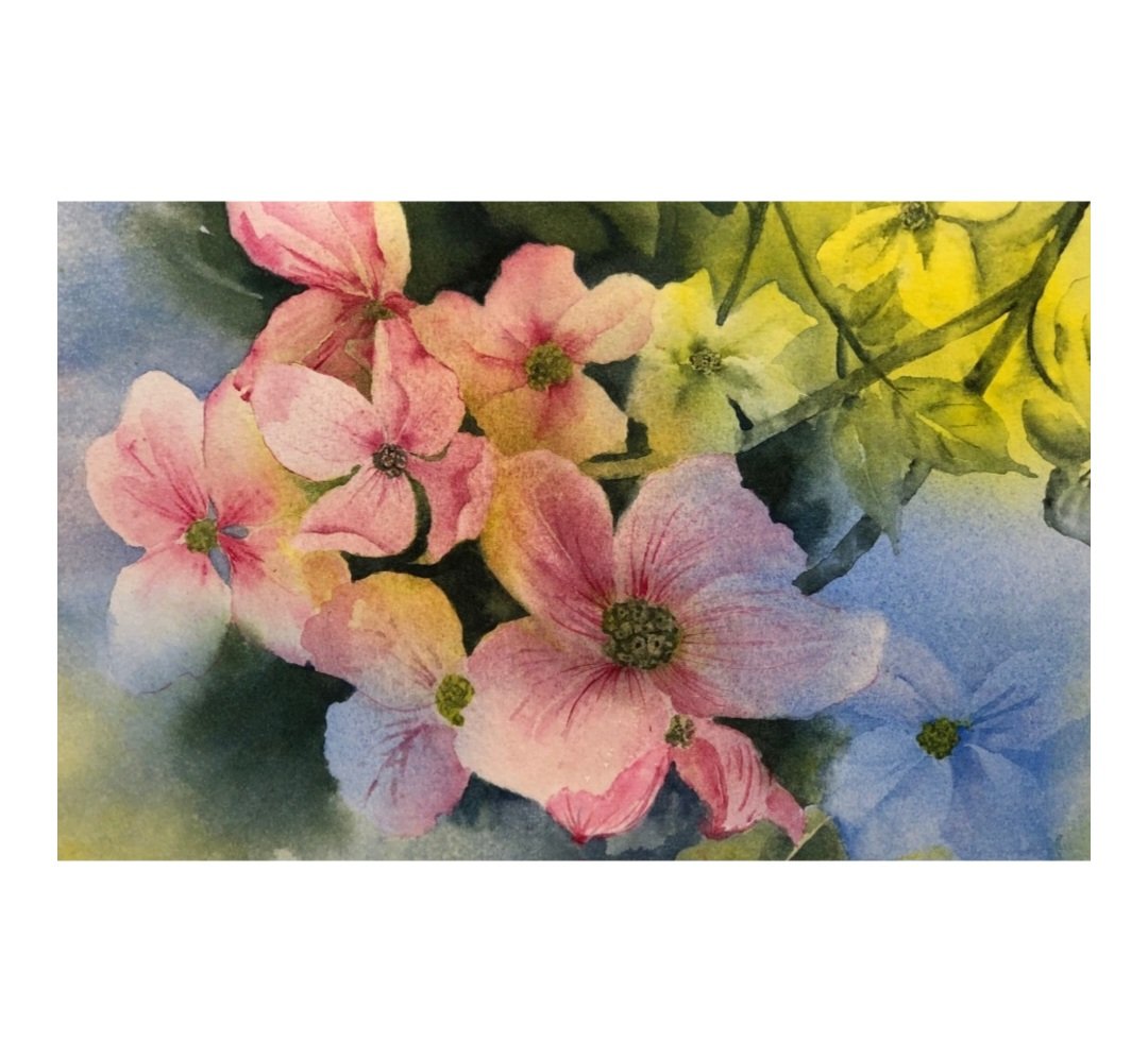 VanArtGuild's tweet photo. Artist: Alyson Thorpe 
Nature's Blush
11x14 Watercolour matted 
@VanArtGuild 
To see more: https://t.co/BryhOmHgjs https://t.co/101W7Go6mL