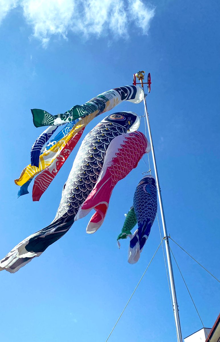 ○写真映え間違え無し！○高級鯉のぼり訳あり品○五月人形（7