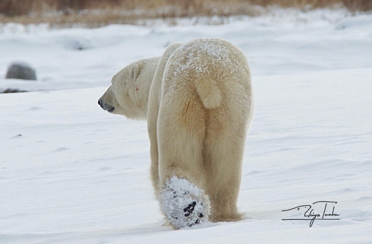 丹葉暁弥 / photographer on X