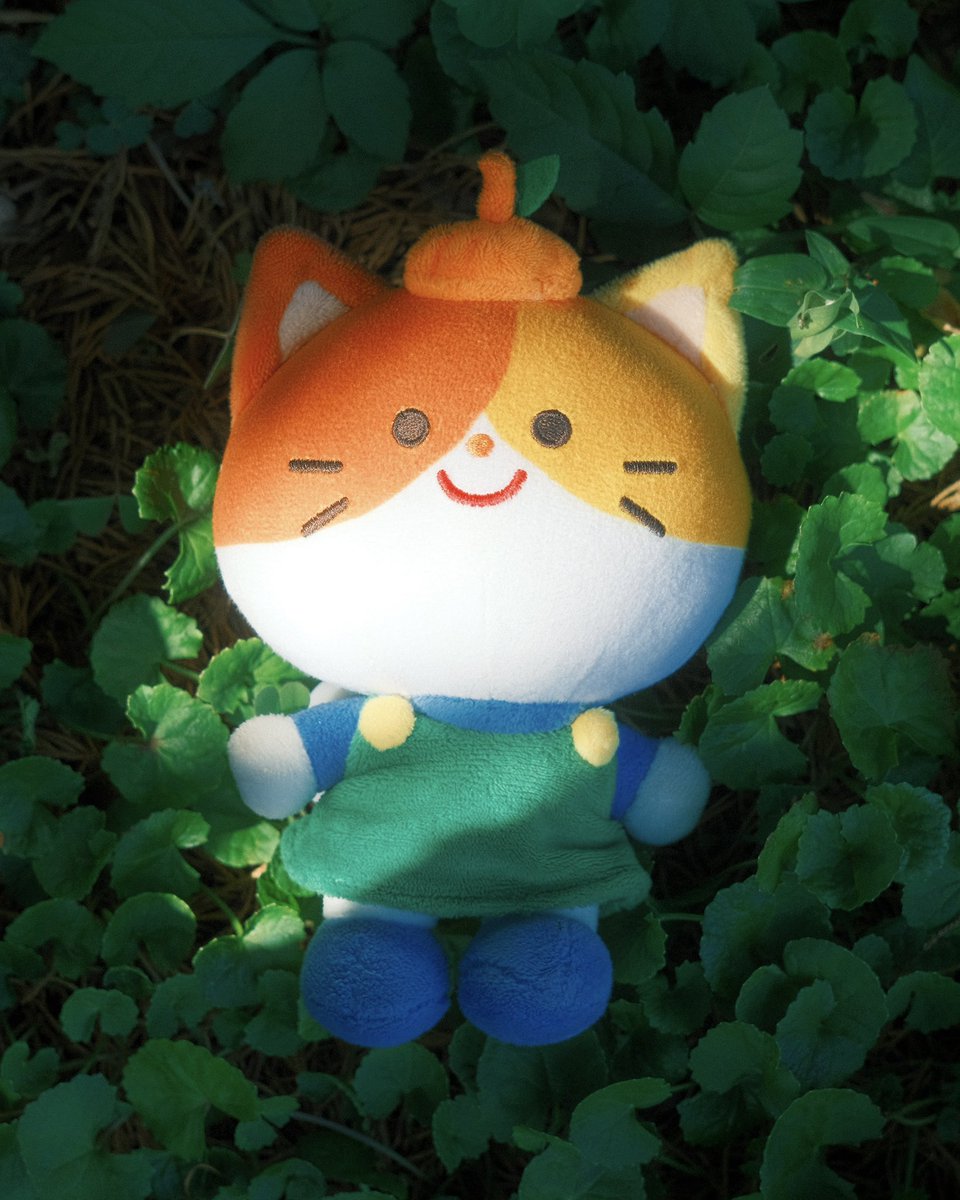 Lucy Zhang 🎨 tweet media