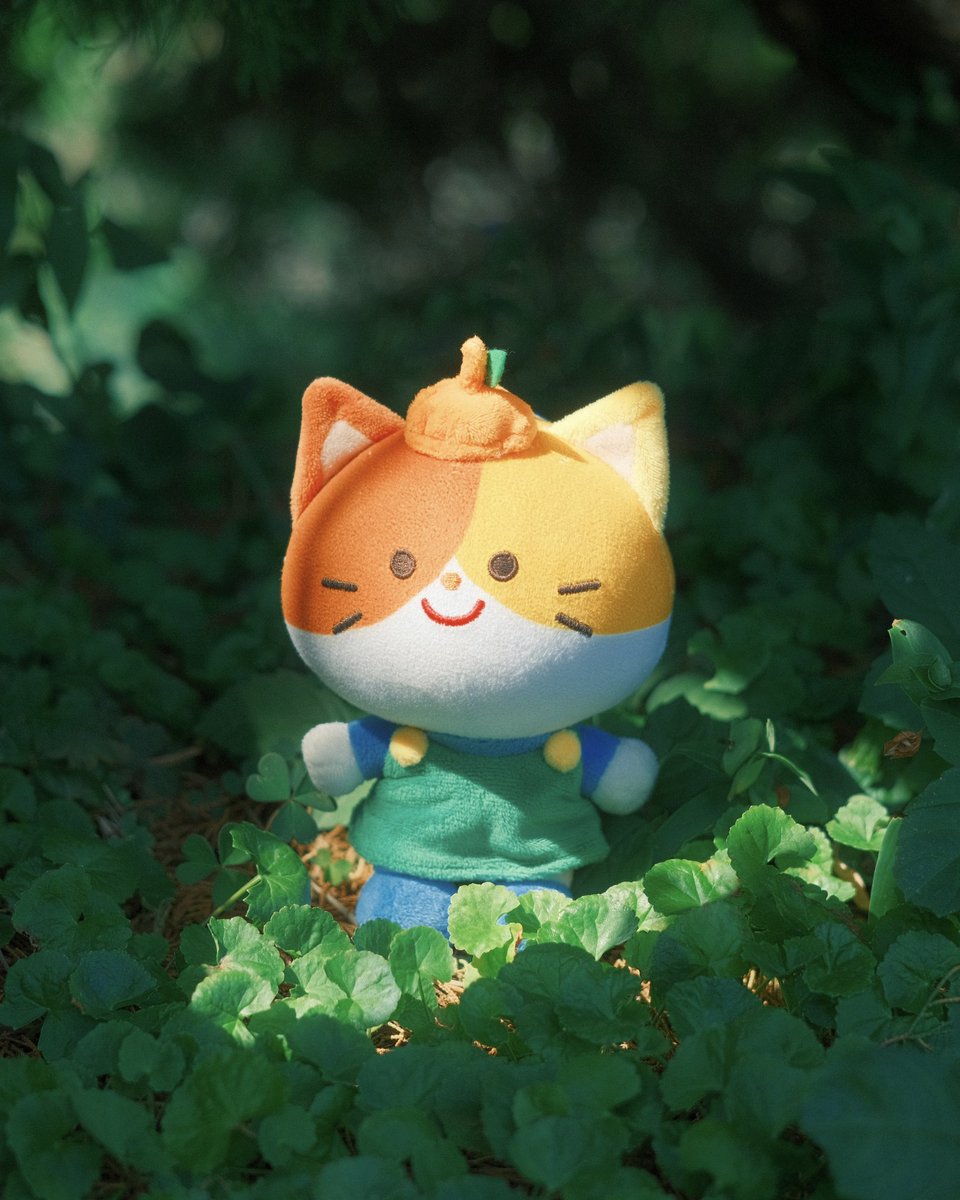 hello citrus cat!!! 🍊🐱🌀 

i’m so happy with how the plushies of my child have turned out!! 🥹 can you believe she’s a real girl!! i love to hold her in my arms like a baby 😭🥹🤲