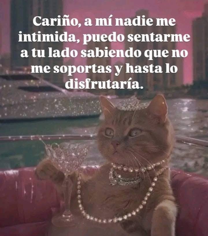 Halomari's tweet image. Attn: Capri 😘