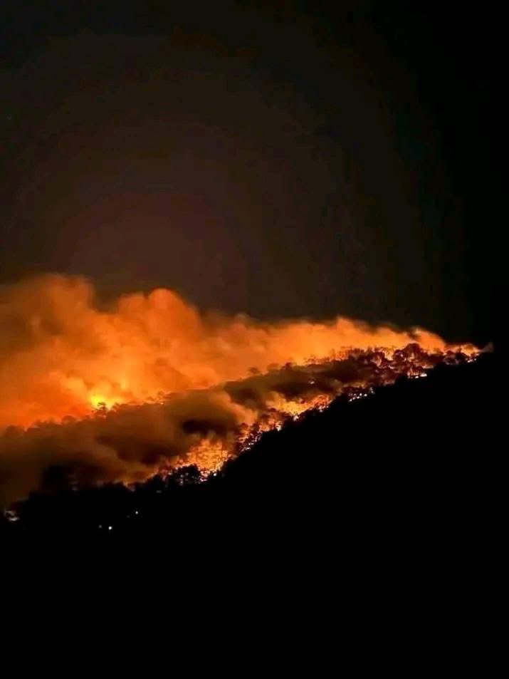 lamagaw's tweet photo. @CONAFOR XILITLA SE QUEMA, PORFAVOR ENVÍEN AYUDA, el fuego avanza rápidamente y la gente no se da abasto, necesitamos helicópteros listos para aminorar el fuego, no solo para las fotos, hagan su trabajo PORFAVOR!!🙏 https://t.co/Wkbli9lRiS