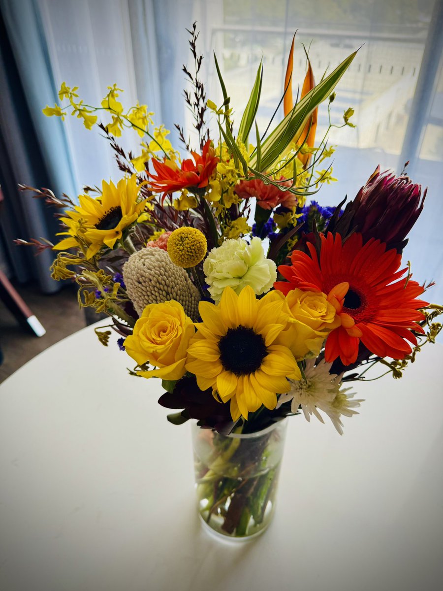 Shane Isheev tweet media