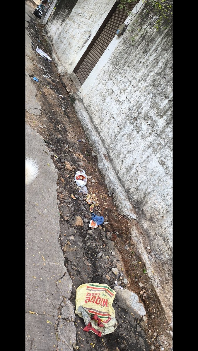 ucsekhar73's tweet photo. This line is dug for laying water pipes and left like that for more than a month now. In the recent heavy rain the road is further worsened. Request officials to immediately act on this so that further damage is controlled. 🙏 This opposite lane to Eidgah at Padmarao Nagar.Thanq https://t.co/gJ882jlofR