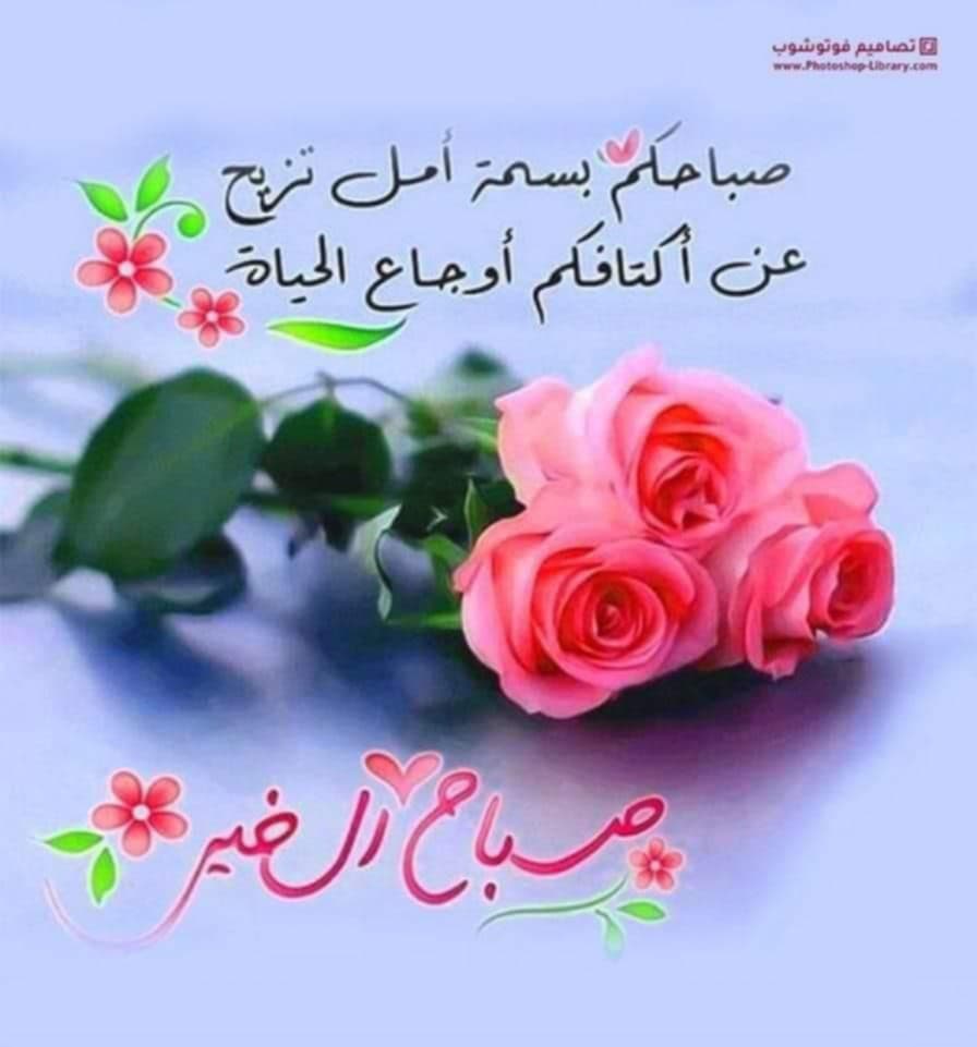 Qasim5aasaa's tweet photo. https://t.co/tjHxeausVw