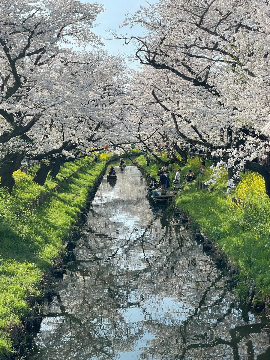毎日見てる、毎日心が動いてる😆