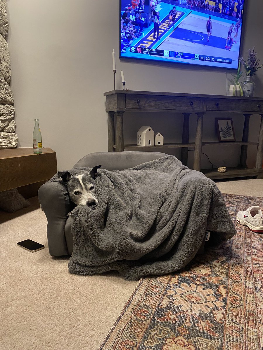 Bought this tiny couch 2 Christmases ago for my brother’s kids but I’m not upset that someone else claimed it for themselves and always insists it’s placed near their gas fireplace