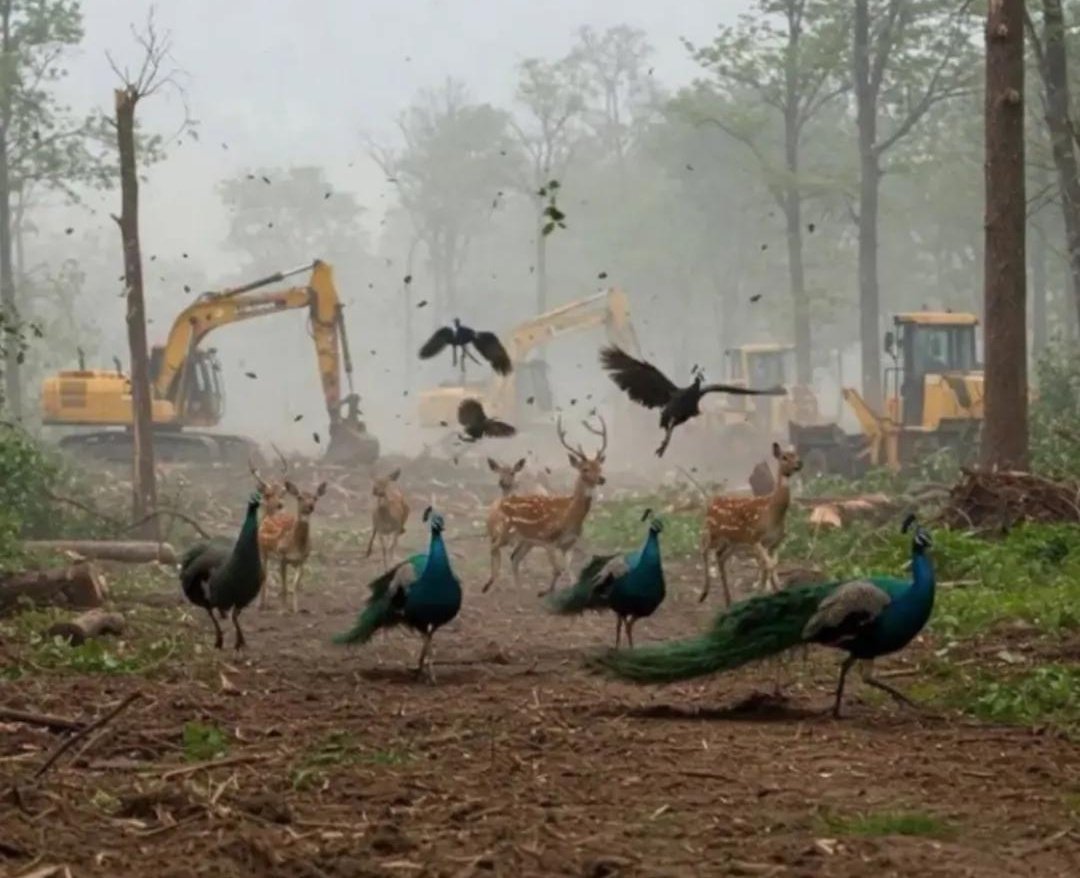 Gulzar__sahab's tweet image. किसी का घर उजाड़ कर बसे तो क्या बसे,
किसी को रुला कर हंसे तो क्या हंसे...🥺🙏