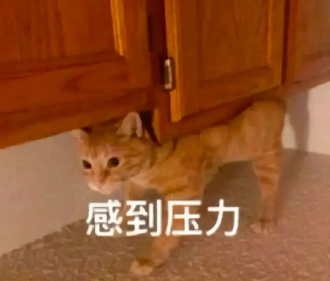 拜山，祭祖必备项目
催婚
补药催我啊，我还是个小女孩