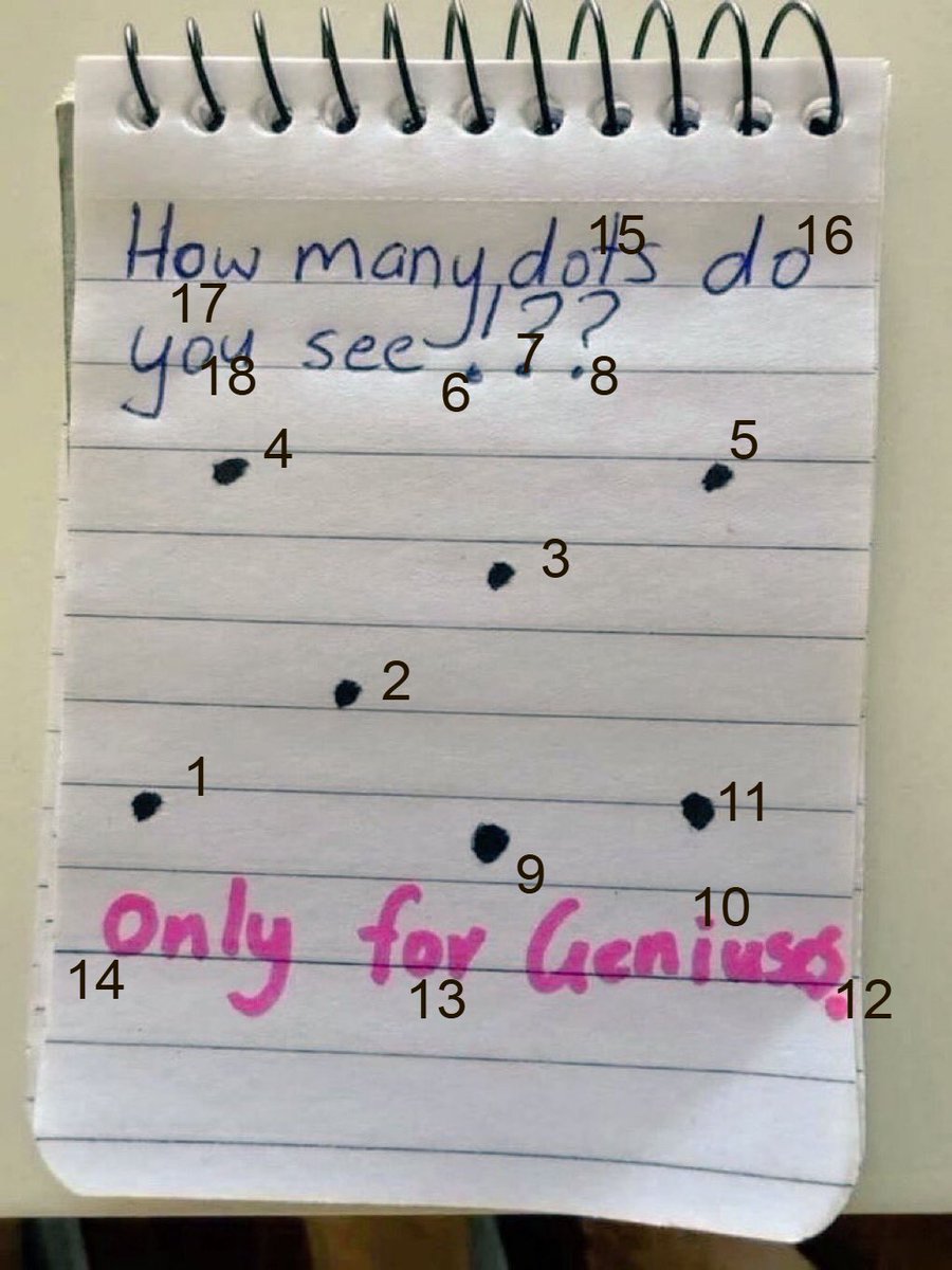 puppfys 🐕 tweet media