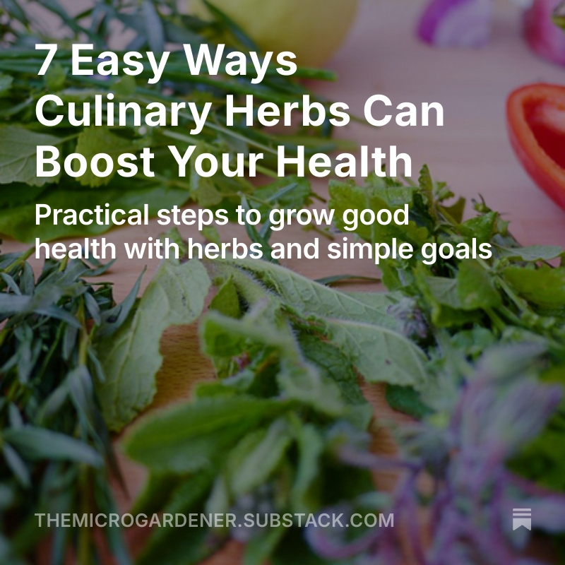 Micro_Gardener's tweet photo. I value #herbs highly for their health benefits.🌿
#Chilli contains #capsaicin that can increase metabolic rate &amp; promote fat burning. 🔥 A study* found eating chillis may reduce the relative risk of cardiovascular disease mortality by 26%. Learn more @  https://t.co/Q6V0ueNzqc https://t.co/hCWZYsvMnW