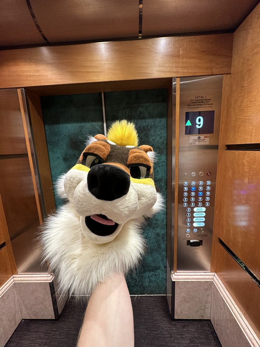 Elevator con unironically #furdu2025