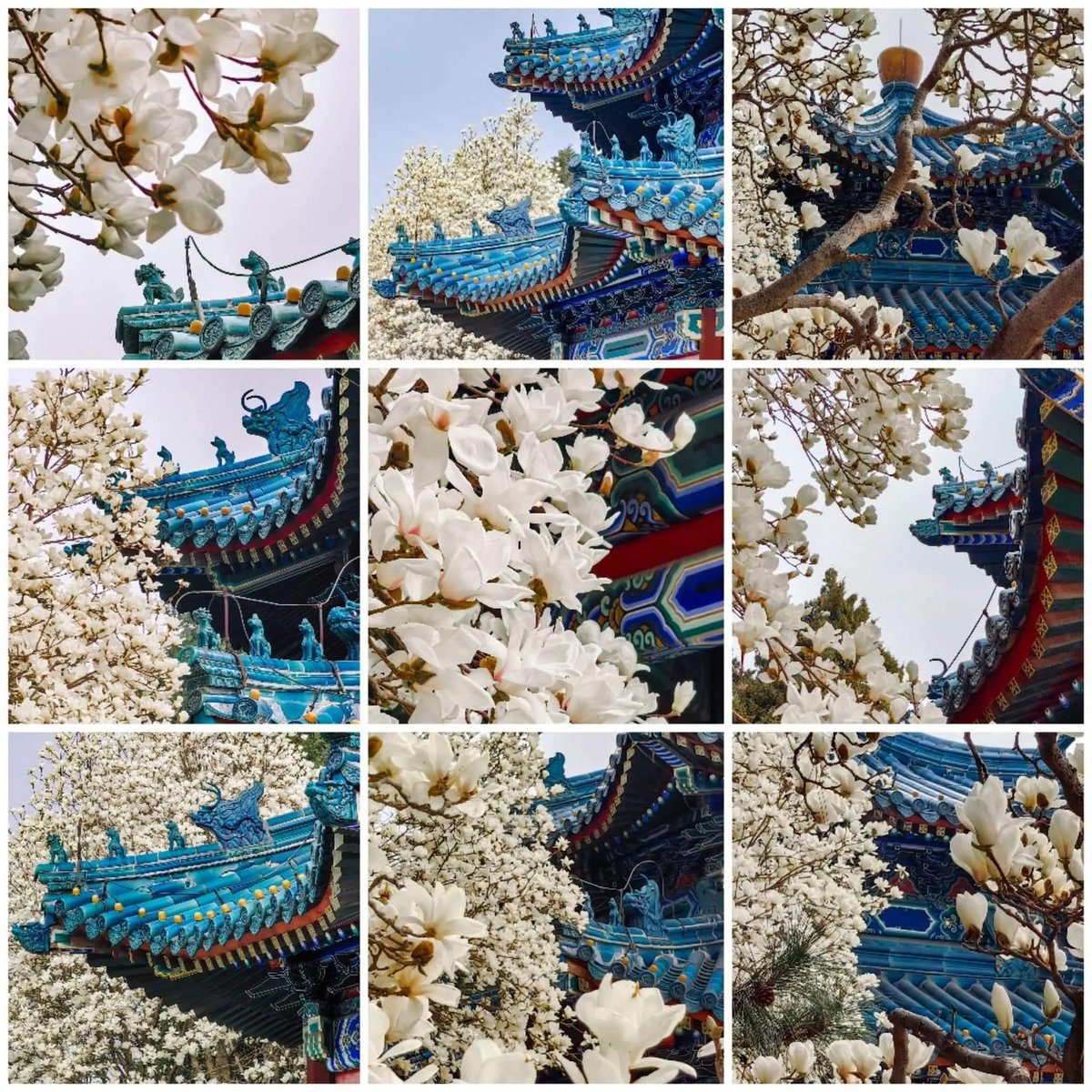 vivian 2000 tweet media