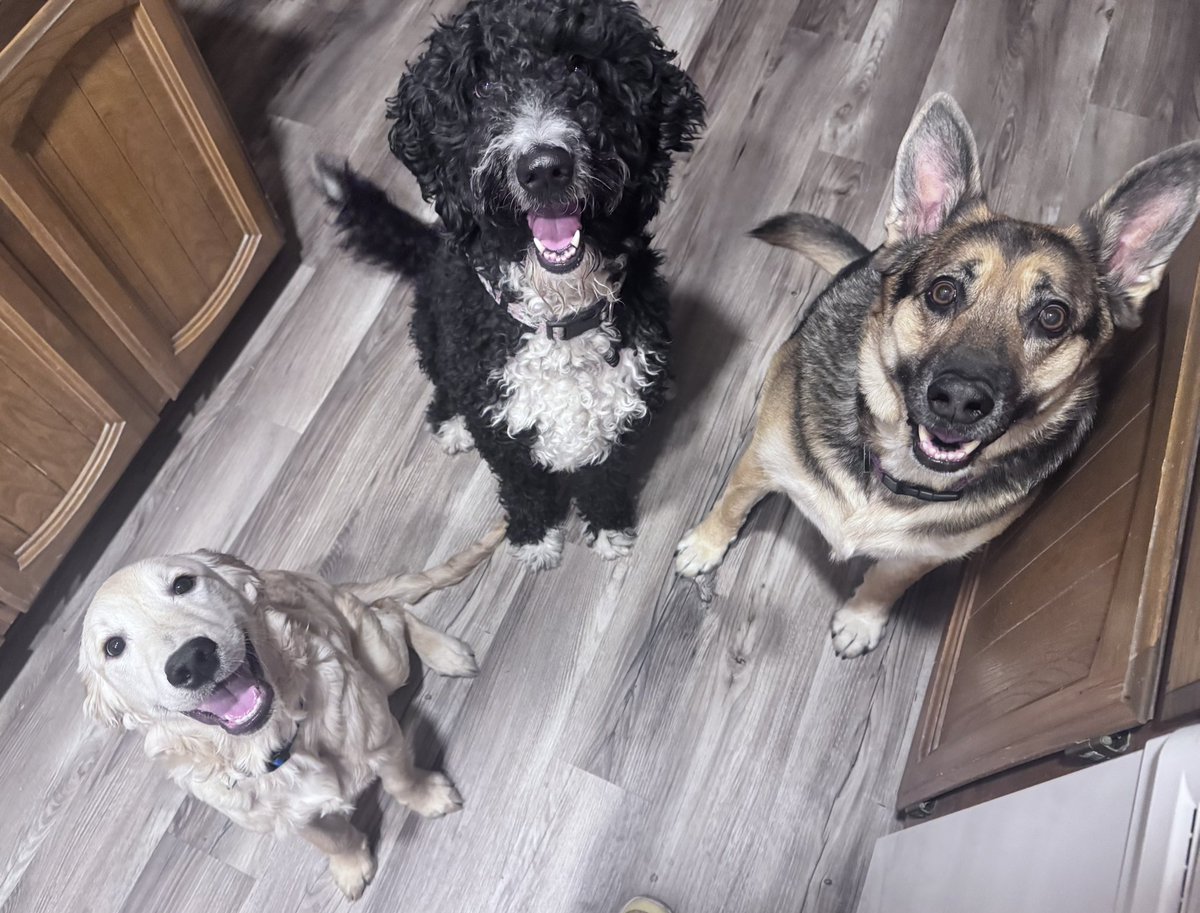 Leo, Lucy and Layla…