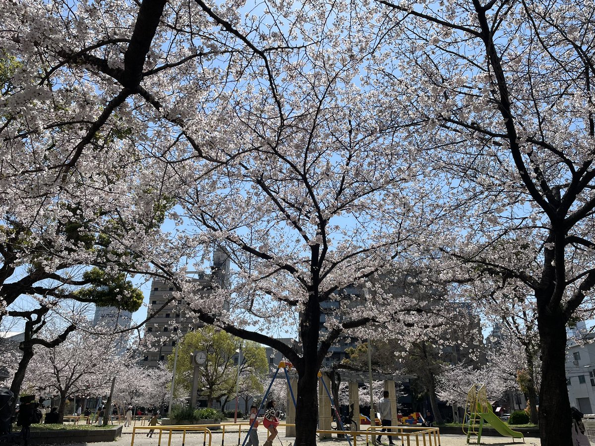 愛染公園でヨメとプチ花見🌸