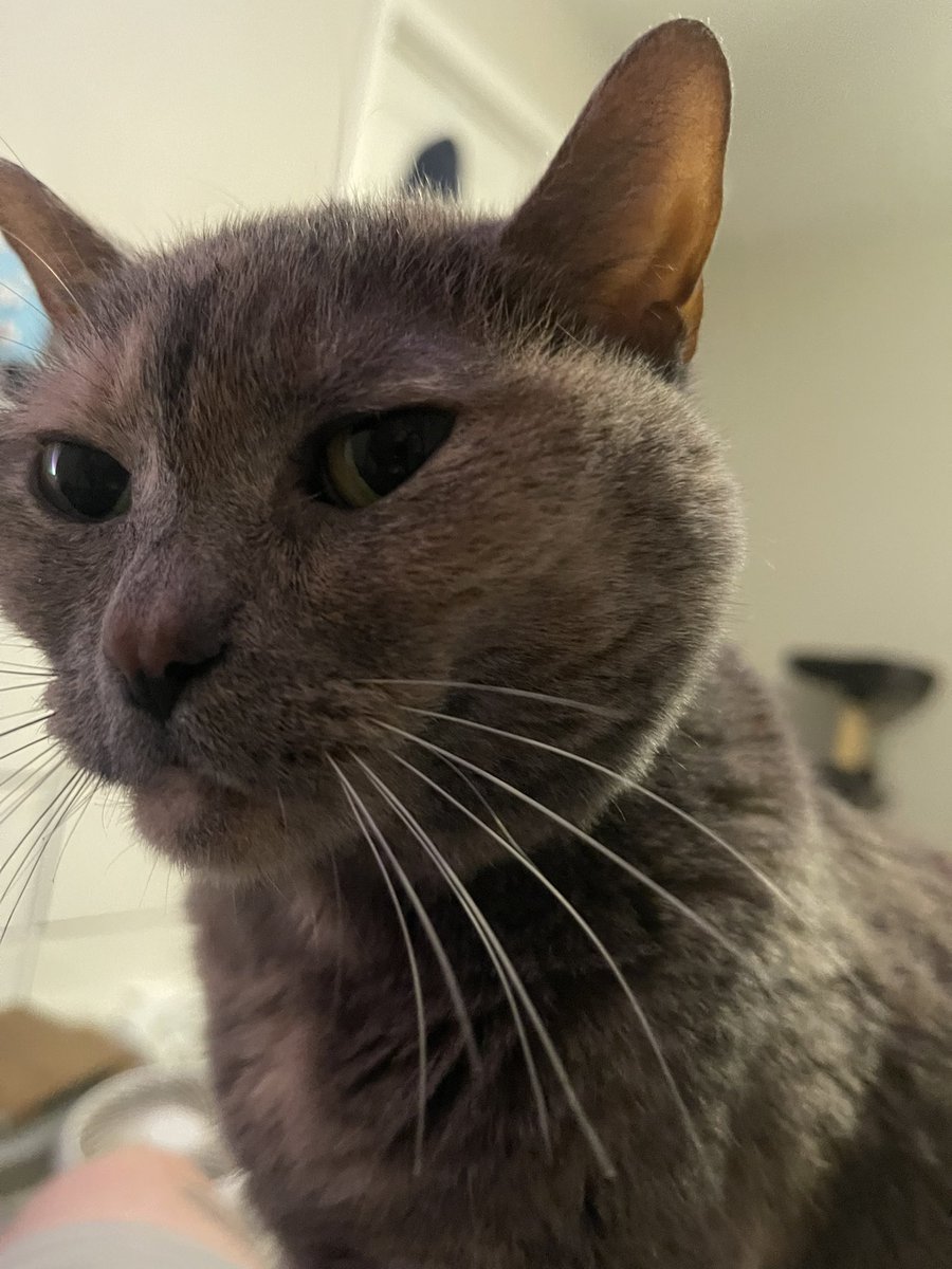 yuor stimk y .  yet aga in.