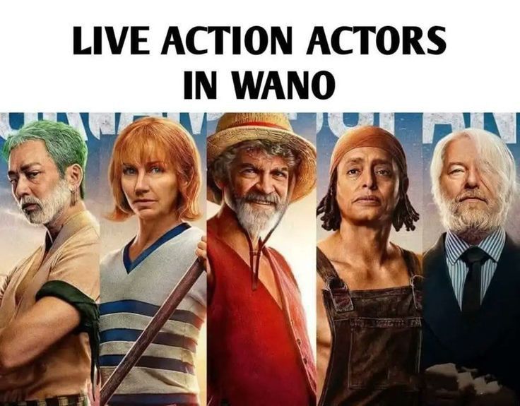 One Piece Daily (@opdaiiy) on Twitter photo 