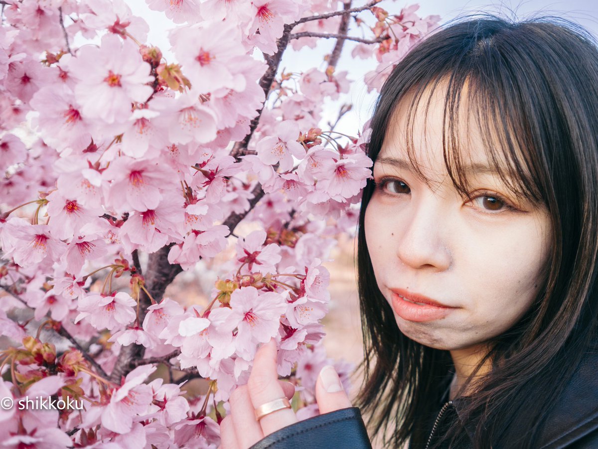 こんにちは😃
#河津桜？
#雨でもまけない