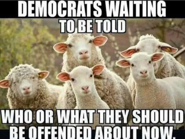 aka tweet media