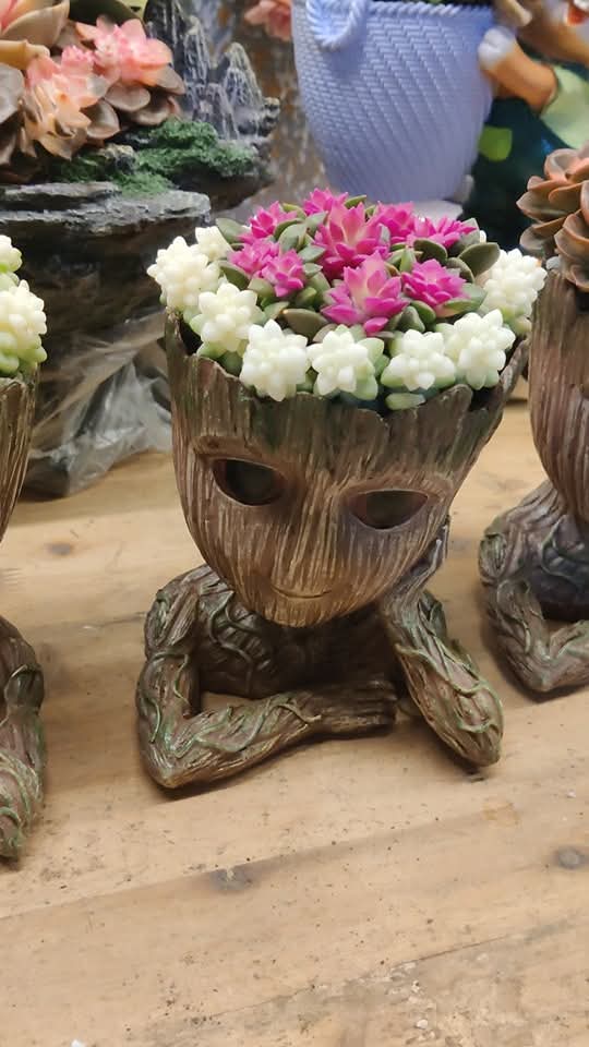 HarmonyYunnan's tweet image. The flower trading market with an average daily transaction of more than 100 million branches of fresh flowers is located in Dou'nan Flower Market in Kunming. It is simply a "paradise of happiness" for flower lovers!
#flower #LifeinYunnan #SpringOuting #吉祥中国