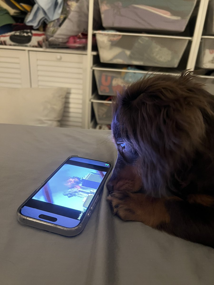 Decided it was time to teach Mabel about 9/11