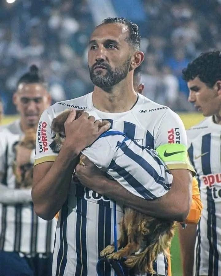 Sucedió durante un partido de fútbol, el equipo Alianza Lima 🇵🇪, salió al campo del Estadio Alejandro Villanueva, cargando perritos sin hogar, para fomentar la adopción responsable de las mascotas.
Gran gesto, y todo un ejemplo a seguir. 🐾🐶✨❤️