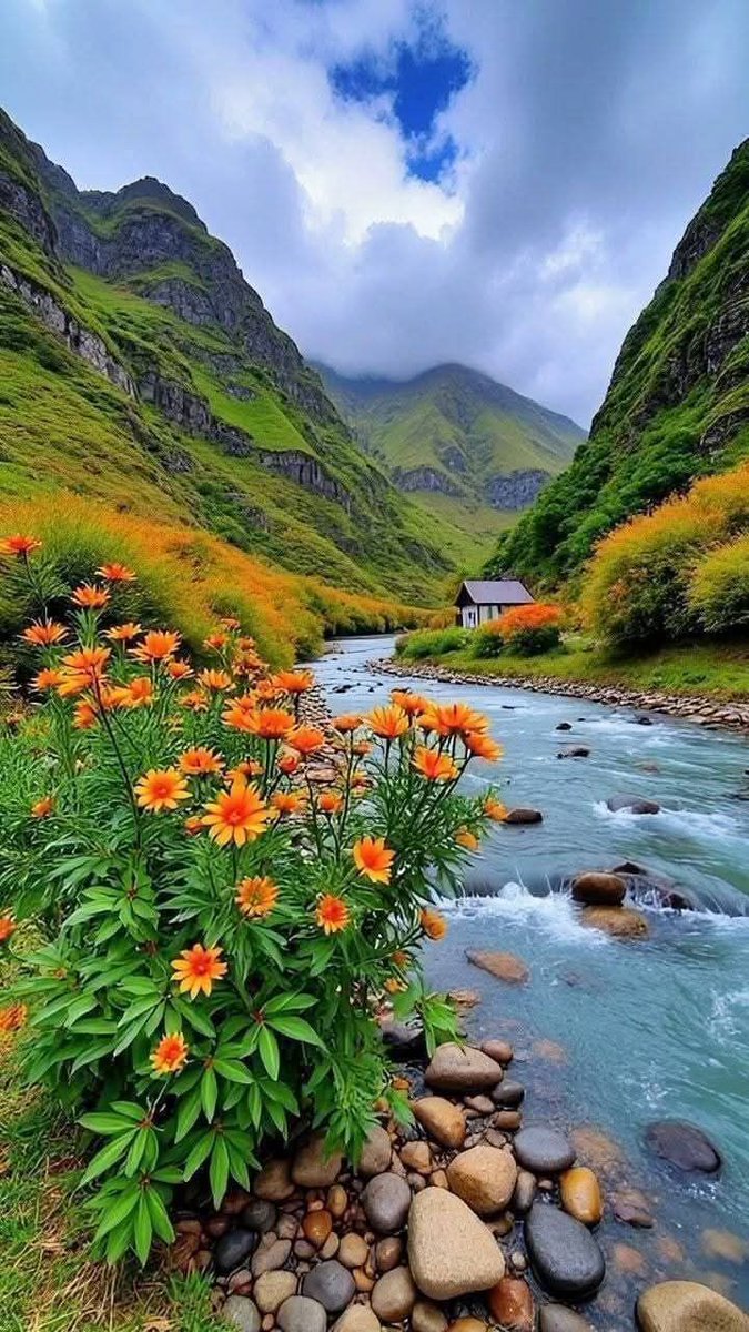 Alone girl (@i_love_family1) on Twitter photo 