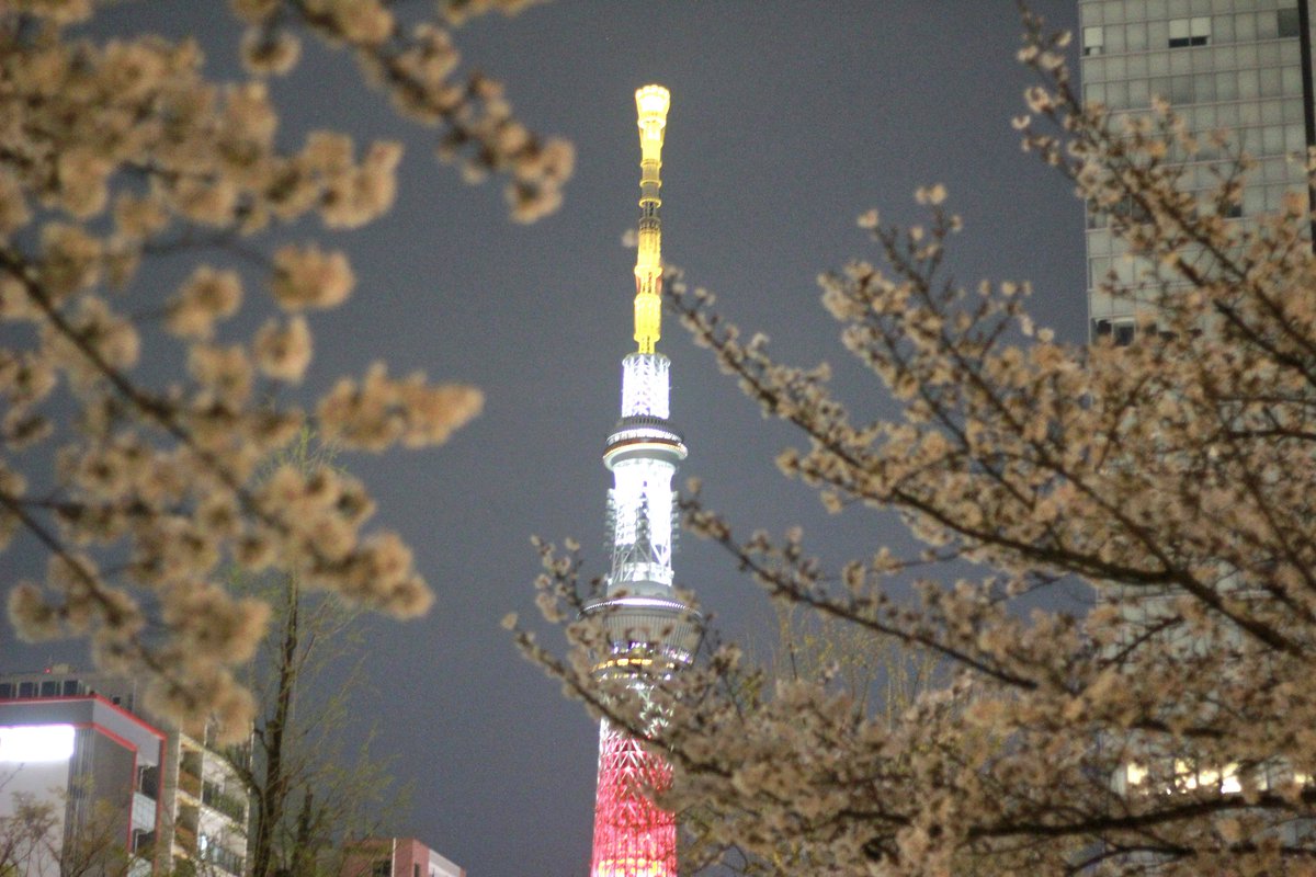 昨日は高校時代の同級生と呑み🍻
そのついでに錦糸公園の桜も撮影📸

友達が私のことも撮ってくれてた（笑）