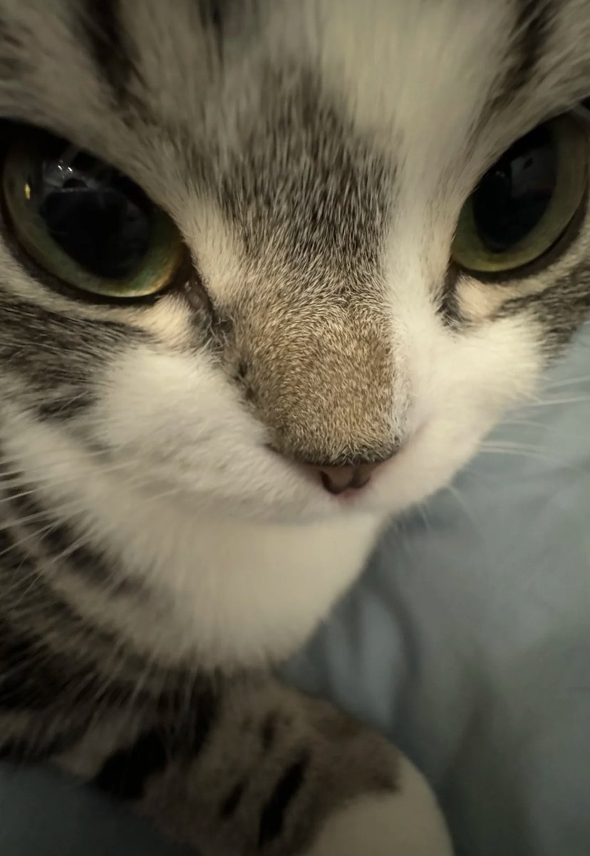 twaniimals's tweet photo. https://t.co/3cmg6ugDlQ
