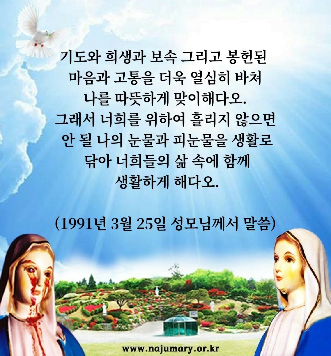 사랑의 메시지 말씀 카드 8 : 나주 성모님께 받은 은총 등을 나누는 게시판  najumary.or.kr/blessed-bord/?…