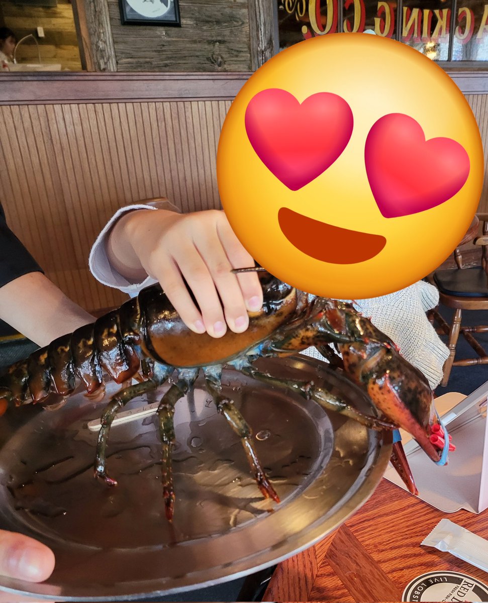 99president99's tweet image. レッドロブスター
せっかくの江の島、雨で残念です。
やはりデイデイト強し
結局他の時計しないんじゃないの？って勢いです。
#ROLEX
#RedLobster