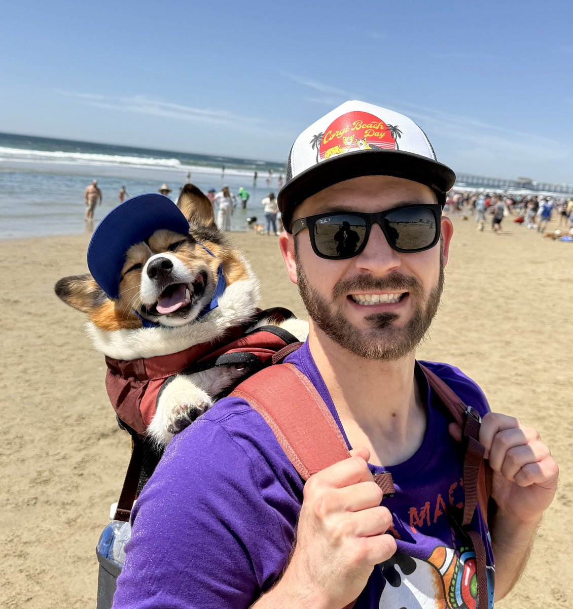 WinstonCorgiDog's tweet photo. Winston Had So Much Fun at Corgi Beach Day Today!โ๏ธ๐๏ธ๐๐ป It Was So Awesome Getting to Meet Everyone too; a Truly Wonderful Day!๐ถ๐ #pics #corgibeachday #beach #Corgi #happy #cute #fluffy #dogs #original #photos https://t.co/Vw2UWwtkbW