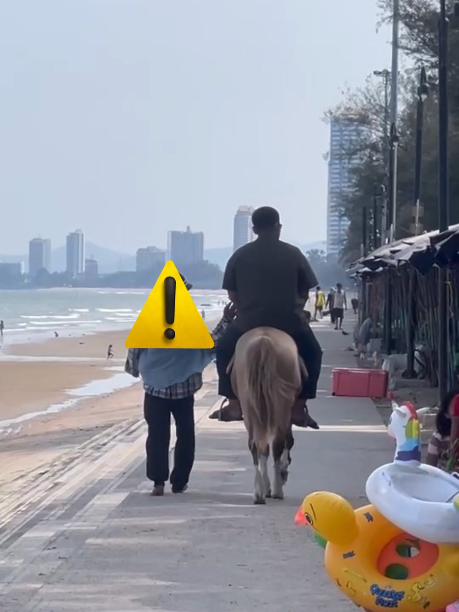 มาเตือน บ้านไหนสายพาน้องหมาเที่ยวแบบบ้านเรา 
ล่าสุดเราพาน้องๆไปชะอำ นั่งอยู่ด้านที่มีบันไดกันคลื่น และ *ห้ามพาม้าขึ้นมาเดิน*
แต่วันที่ไป มีคนพาม้าขึ้นมาเดินชิดกับที่นั่ง
น้องหมาเราตกใจ กระโดดไปเห่า(มีเชือกรัดไว้) แต่ด้วยความที่เดินชิดที่นั่งมากๆ ทำให้ม้าแตะเข้ามาที่หัวน้องหมาเรา