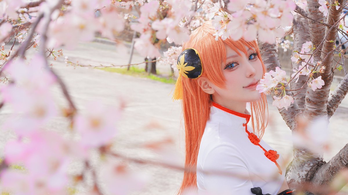 【cos/コスプレ】
〜銀魂 完結篇 万事屋よ永遠なれ〜
　　　｡.⁎ 5年後神楽⁎ .｡

📸…<a href="/NKyuu_photok/">🐹きゅ〜@現像お渡し期間</a>