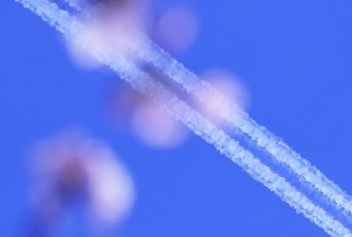 Jikkyleaks's tweet image. In order to "prove" that "cOnTrAiLs" can actually be produced from HBTF passenger planes @Grok used this account as a source. 

Check the picture. 
Trail is in front of the blossom. 
This could be the biggest #GrokFail to date. 
😂😂😂😂😂😂😂
archive.md/ku04X