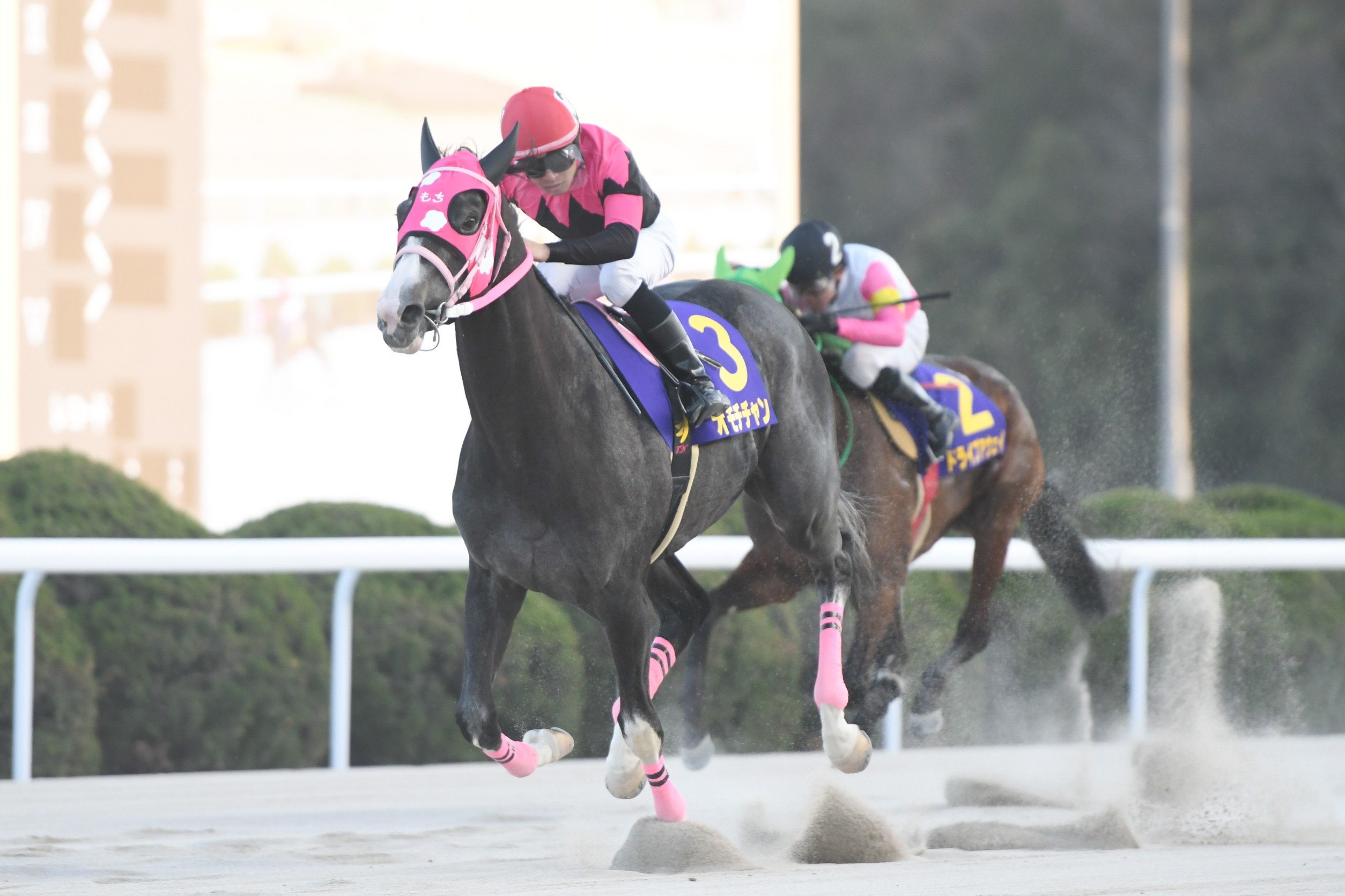 地方競馬全国協会(NAR)公式 on X: 