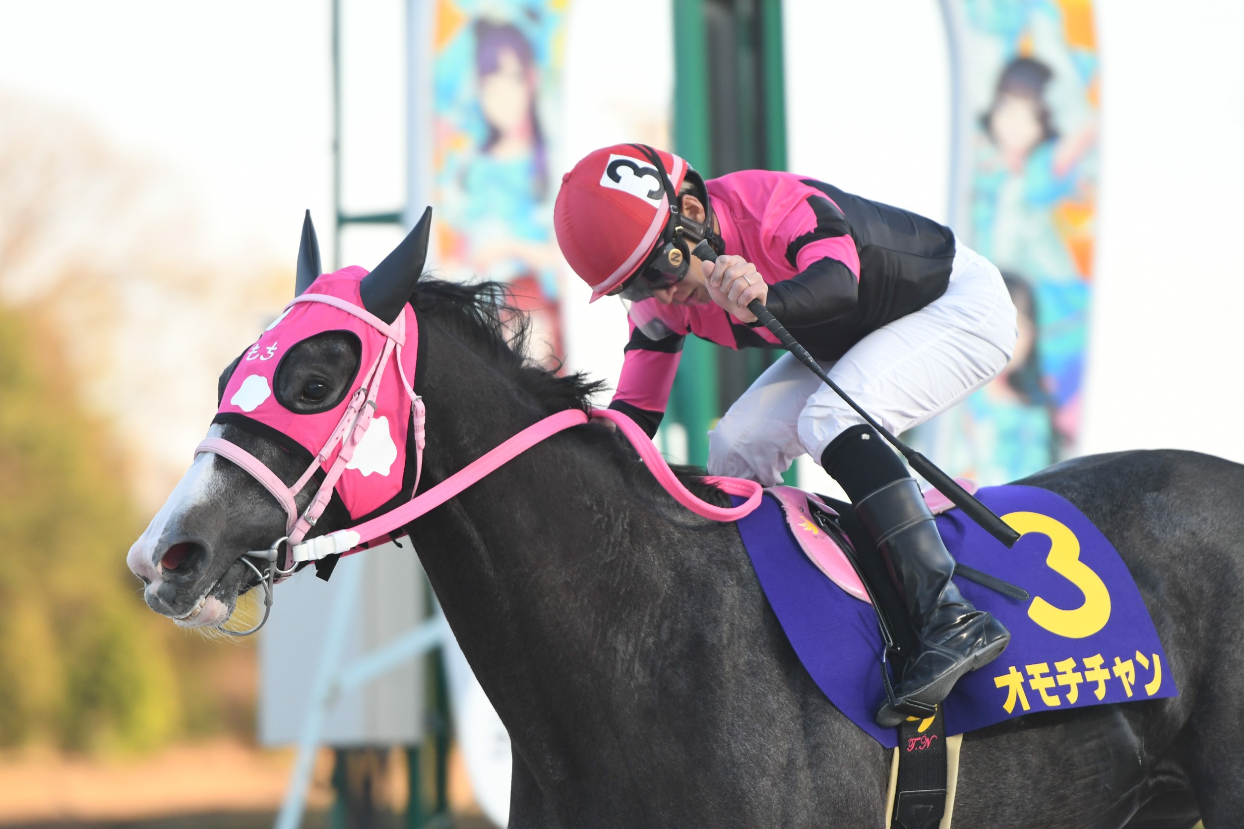 地方競馬全国協会(NAR)公式 on X: 