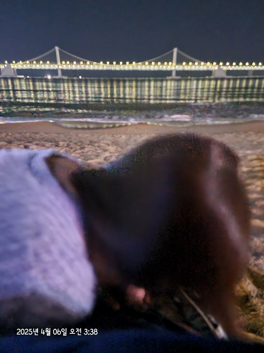 광안리 새벽 데이트~😀

#부산 #커플 #부부 #부커 #레즈플