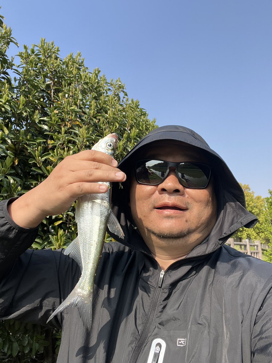 fish at there fish are