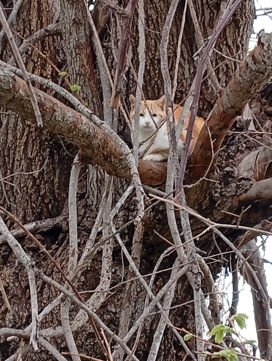 Arancinoooooo
Scendi che la pappa è pronta😃❤️