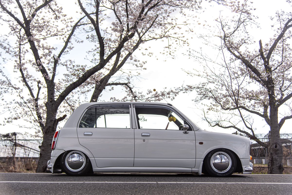 早起きしたから家から車で1分のとこでジーノさん写活してきた🌸